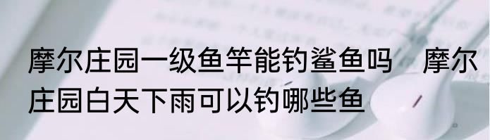 摩尔庄园一级鱼竿能钓鲨鱼吗　摩尔庄园白天下雨可以钓哪些鱼