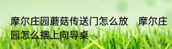 摩尔庄园蘑菇传送门怎么放　摩尔庄园怎么摆上向导桌