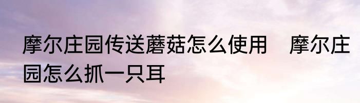 摩尔庄园传送蘑菇怎么使用　摩尔庄园怎么抓一只耳