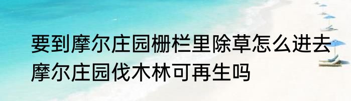 要到摩尔庄园栅栏里除草怎么进去　摩尔庄园伐木林可再生吗