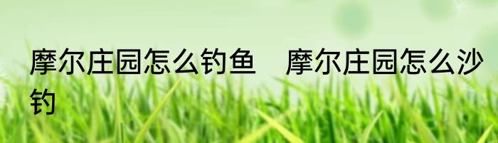 摩尔庄园怎么钓鱼　摩尔庄园怎么沙钓