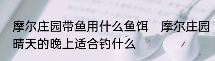 摩尔庄园带鱼用什么鱼饵　摩尔庄园晴天的晚上适合钓什么
