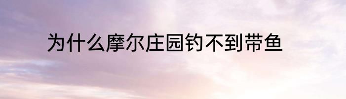 为什么摩尔庄园钓不到带鱼
