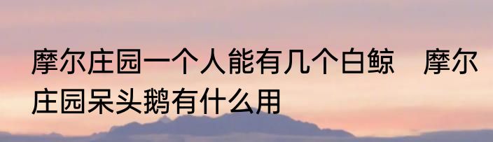 摩尔庄园一个人能有几个白鲸　摩尔庄园呆头鹅有什么用