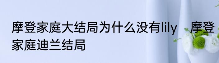 摩登家庭大结局为什么没有lily　摩登家庭迪兰结局