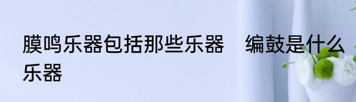 膜鸣乐器包括那些乐器　编鼓是什么乐器