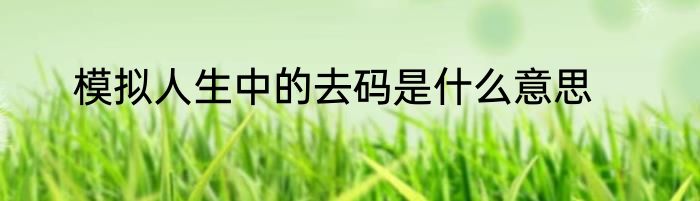 模拟人生中的去码是什么意思