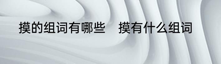 摸的组词有哪些　摸有什么组词