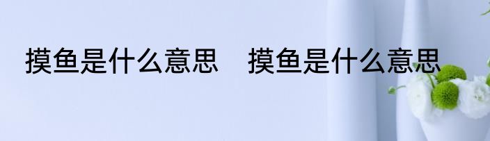 摸鱼是什么意思　摸鱼是什么意思
