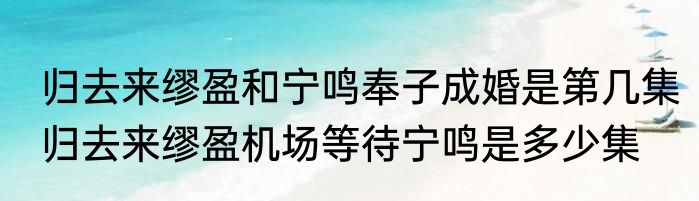 归去来缪盈和宁鸣奉子成婚是第几集　归去来缪盈机场等待宁鸣是多少集
