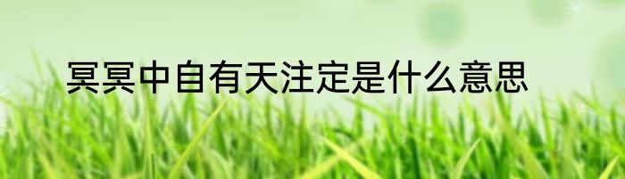 冥冥中自有天注定是什么意思