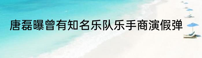 唐磊曝曾有知名乐队乐手商演假弹