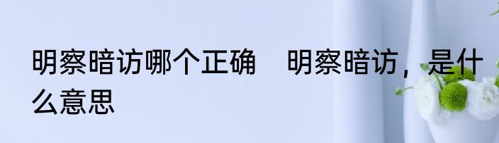明察暗访哪个正确　明察暗访，是什么意思