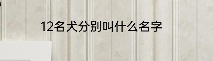 12名犬分别叫什么名字