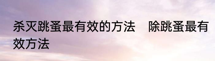 杀灭跳蚤最有效的方法　除跳蚤最有效方法