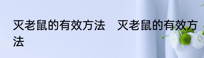 灭老鼠的有效方法　灭老鼠的有效方法