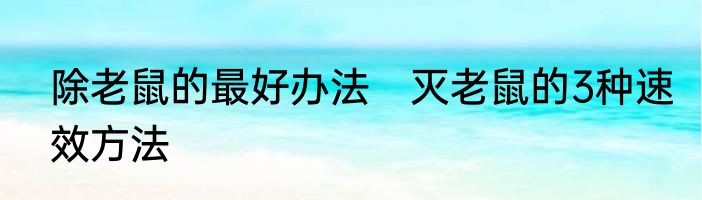 除老鼠的最好办法　灭老鼠的3种速效方法