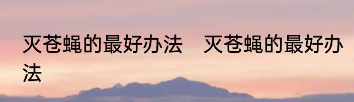 灭苍蝇的最好办法　灭苍蝇的最好办法