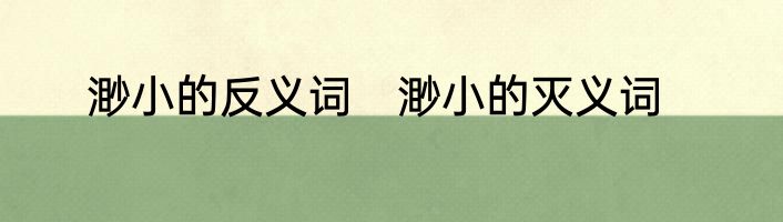 渺小的反义词　渺小的灭义词