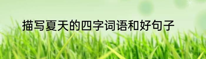 描写夏天的四字词语和好句子