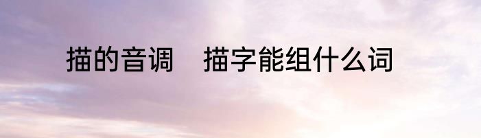 描的音调　描字能组什么词