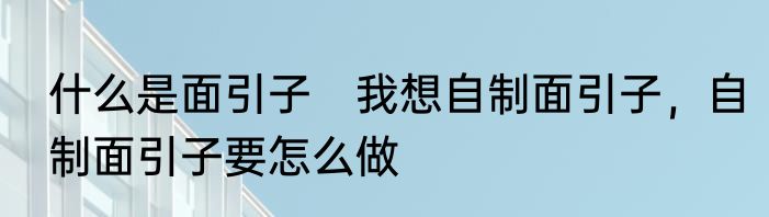 什么是面引子　我想自制面引子，自制面引子要怎么做