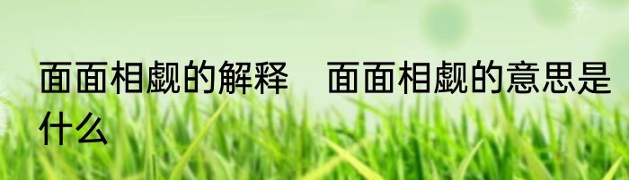面面相觑的解释　面面相觑的意思是什么