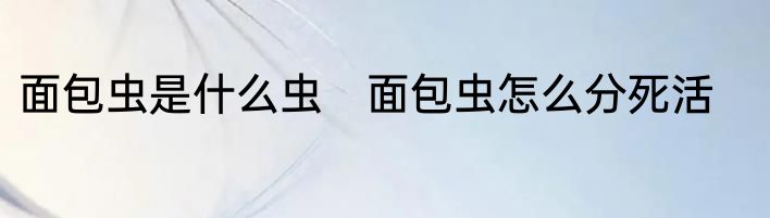 面包虫是什么虫　面包虫怎么分死活