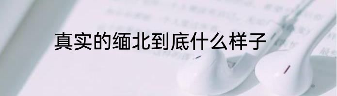 真实的缅北到底什么样子