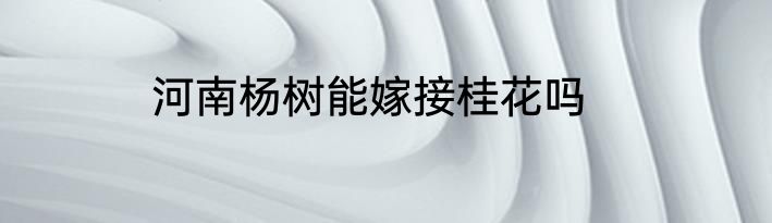 河南杨树能嫁接桂花吗