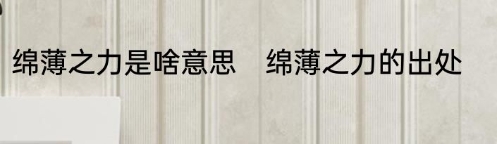 绵薄之力是啥意思　绵薄之力的出处