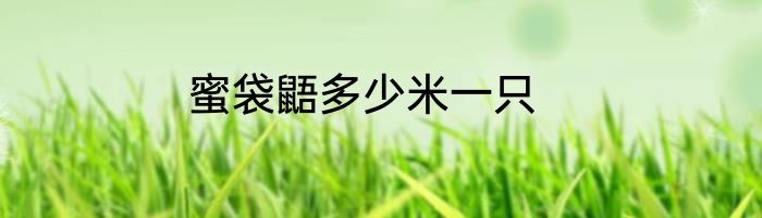 蜜袋鼯多少米一只