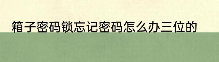 箱子密码锁忘记密码怎么办三位的