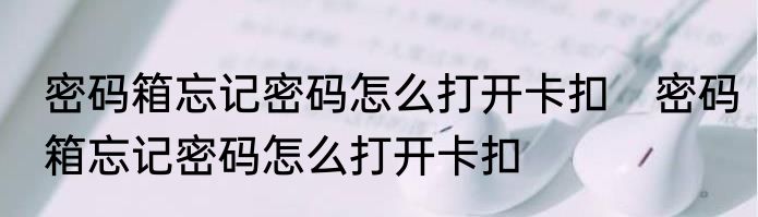 密码箱忘记密码怎么打开卡扣　密码箱忘记密码怎么打开卡扣