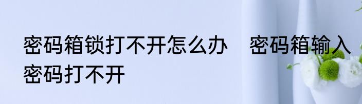 密码箱锁打不开怎么办　密码箱输入密码打不开