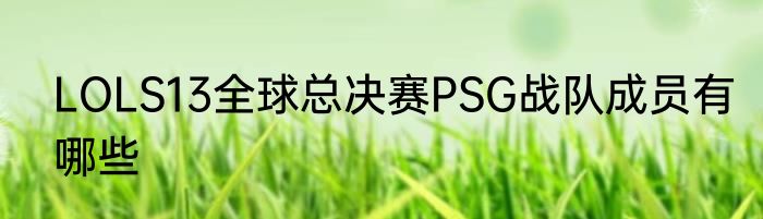LOLS13全球总决赛PSG战队成员有哪些