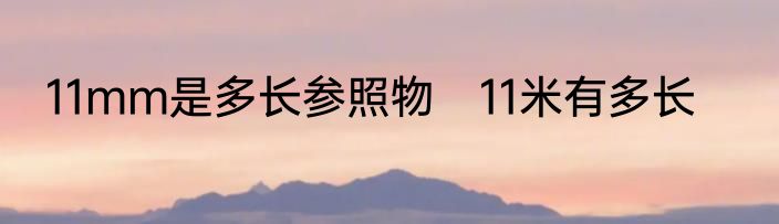 11mm是多长参照物　11米有多长