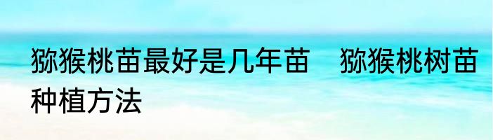 猕猴桃苗最好是几年苗　猕猴桃树苗种植方法