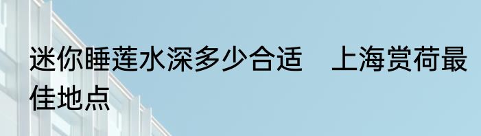 迷你睡莲水深多少合适　上海赏荷最佳地点