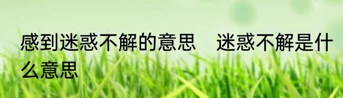 感到迷惑不解的意思　迷惑不解是什么意思