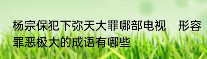 杨宗保犯下弥天大罪哪部电视　形容罪恶极大的成语有哪些