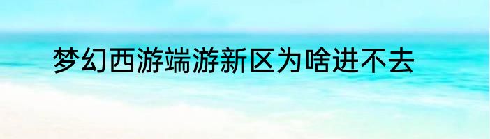 梦幻西游端游新区为啥进不去