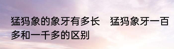 猛犸象的象牙有多长　猛犸象牙一百多和一千多的区别