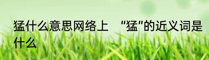 猛什么意思网络上　“猛”的近义词是什么