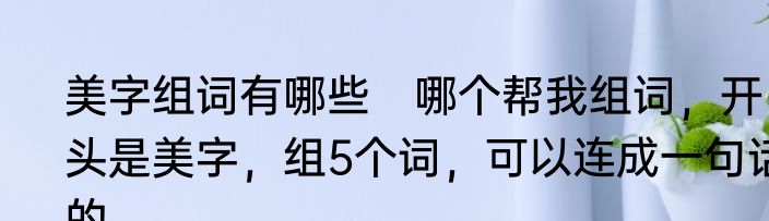 美字组词有哪些　哪个帮我组词，开头是美字，组5个词，可以连成一句话的
