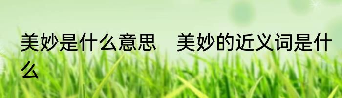 美妙是什么意思　美妙的近义词是什么