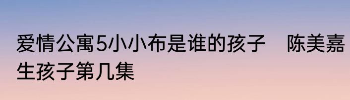 爱情公寓5小小布是谁的孩子　陈美嘉生孩子第几集