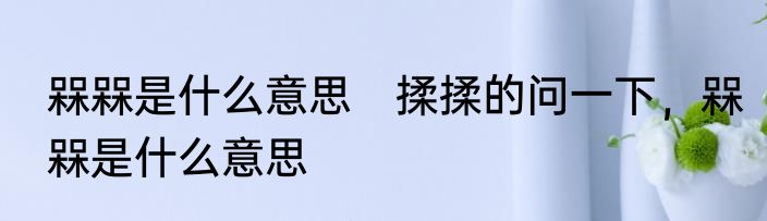 槑槑是什么意思　揉揉的问一下，槑槑是什么意思