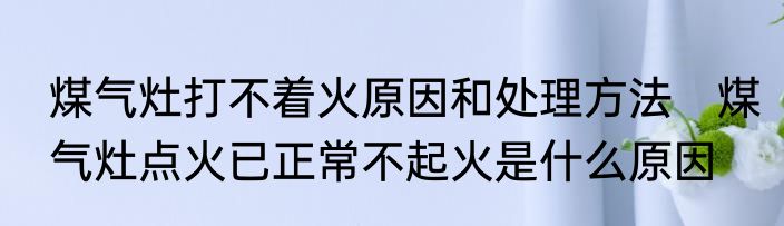 煤气灶打不着火原因和处理方法　煤气灶点火已正常不起火是什么原因
