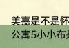 美嘉是不是怀了小龙人的孩子　爱情公寓5小小布是谁的孩子